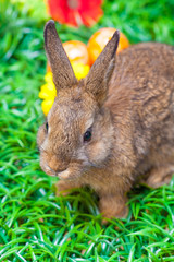 Easter