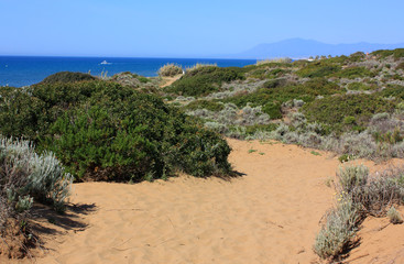 Sand dunes and the ocean