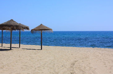 Beach Umbrellas