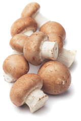 Portabello mushrooms on white background