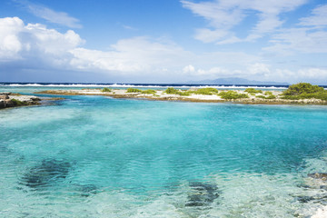 Polynesian sea