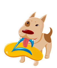 Dog brought slates instead of slippers