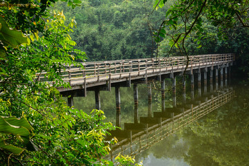 Fototapeta na wymiar wood bridge in Krating Waterfall National Park at Chantaburi, T