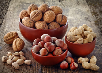 various kinds of nuts