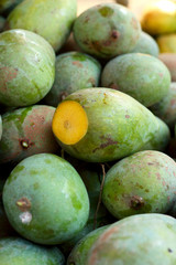fruit mango in the market