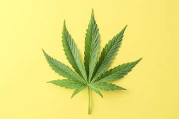 Cannabis Leaf