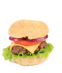Tasty cheeseburger.