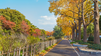 Walking Path along side Nagoya Castle