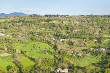 Fototapeta na wymiar Orvieto las