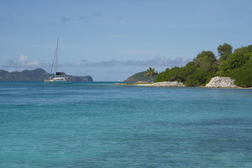 Saint Vincent and The Grenadines Tobago Cays Caribbean 62