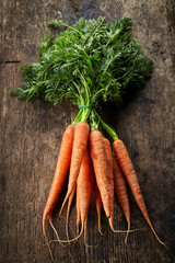 fresh carrot bunch