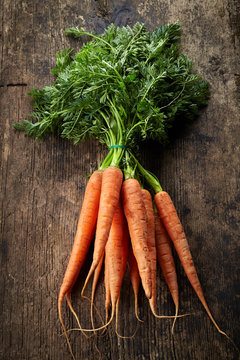 fresh carrot bunch