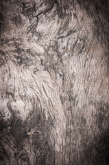 Old wood texture
