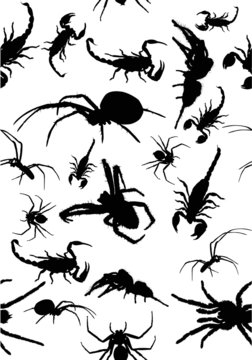 seamles background from black spiders and scorpions