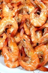 Close-up view to cooked (boiled) shrimp on plate
