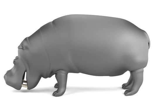 realistic 3d render of hippo