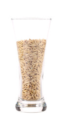 Close up of glass with barley.