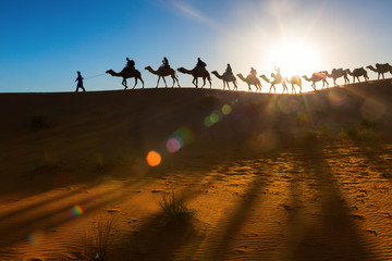 Camel caravan going through the desert - obrazy, fototapety, plakaty