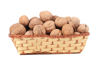 Basket of walnuts.