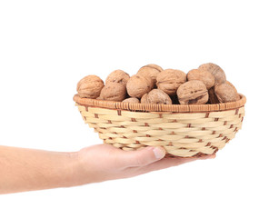 Hand holding basket of walnuts.