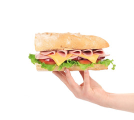 Hand holding baguette sandwich.