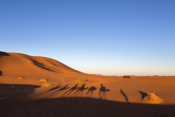 Fototapeta na wymiar Shadows of camel caravan in desert Sahara, Morocco, Africa