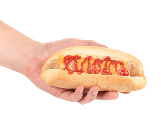Hand holding hot dog.