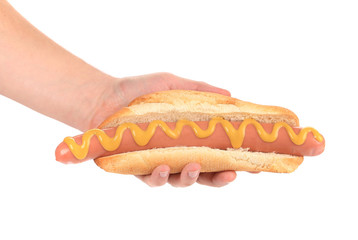 Hand holding big hot dog.