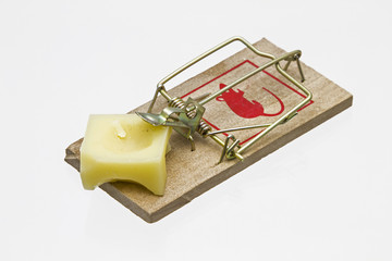 Mausefalle mit Käse