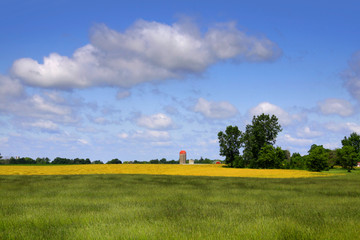 Farm landscape