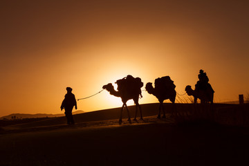 Fototapeta na wymiar Camel caravan going through the desert