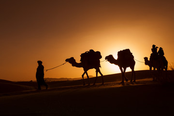 Camel caravan going through the desert