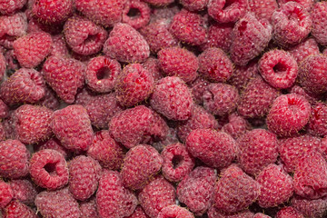 raspberry background