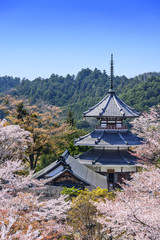 Obraz premium Yoshinoyama, Japan at Kinpusenji Pagoda