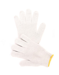 Obraz premium Working gloves.