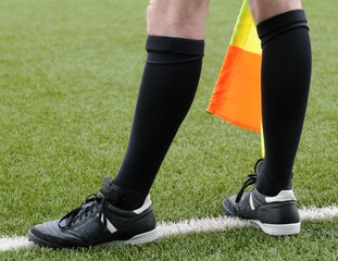 Fototapeta premium Arbitre