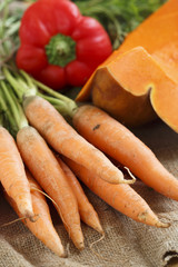 Fresh carrot