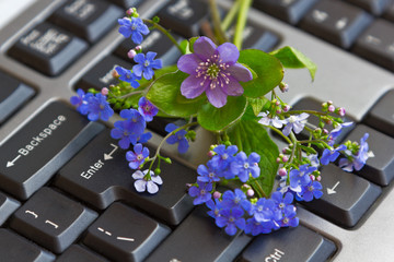 flowers on a keyboard