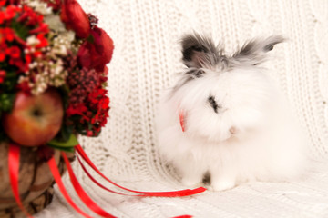 Lapin angora et bouquet de fleurs