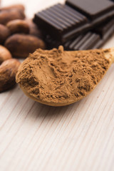 Cocoa (cacao) beans with chocolate