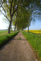 Obraz premium old alley