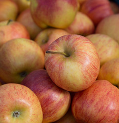 Äpfel