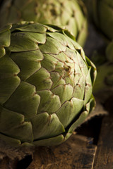 Raw Organic Green Artichokes