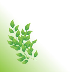 beautiful nature background