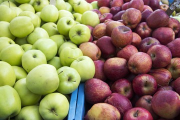 Äpfel