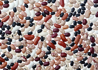 Assorted dried beans background close up