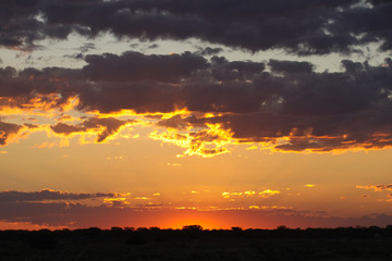 Sunset Etosha. Namibia