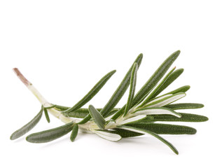 Fototapeta premium rosemary herb spice leaves isolated on white background cutout