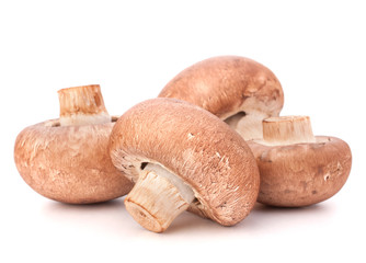 Brown champignon mushroom group