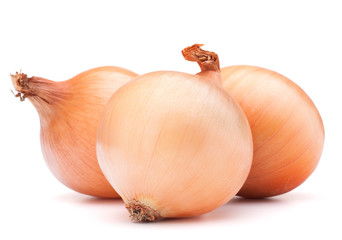 Gold onion vegetable bulbs © Natika